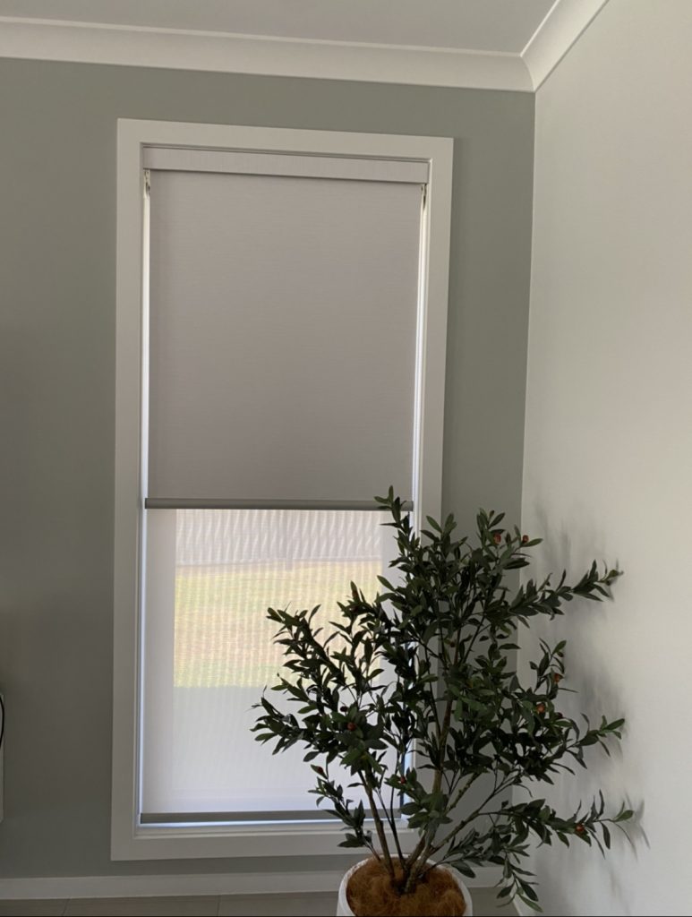 roller-blinds-plant